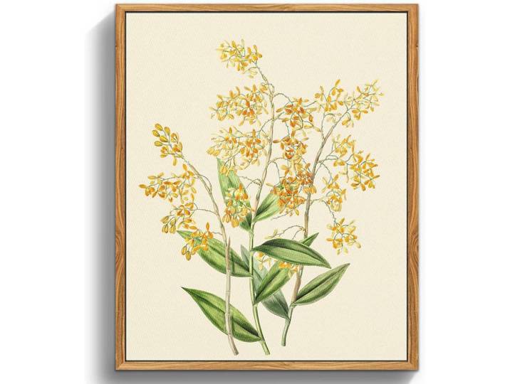Leinwandbild mit Rahmen Botanisch Gelbe Orchidee 30 x 40 cm, Holz, 30x0.5 cm, Bilder & Rahmen, Bilder, Leinwandbilder