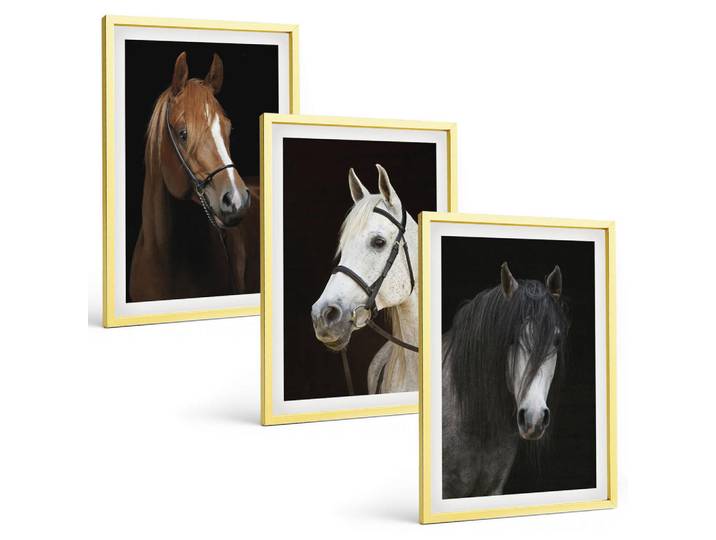 Tulup Bilder SET 3er Set - 40x60 cm Goldrahmen - Porträts von Pferden in verschiedenen Fellfarben, Goldfarben, Kunststoff, Rechteckig, 40x60 cm, Fotografie, Bilder & Rahmen, Bilder