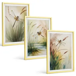 BILDER SET 3er Set - 40x60 cm Goldrahmen - Libellen im Gras, Wassermalerei
