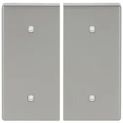 Busch-Jaeger Wippe 2-fach 2570-20-866