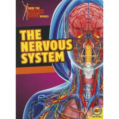 The Nervous System, Taschenbuch von Simon Rose, Av2 by Weigl, 978-1-4896-1175-8