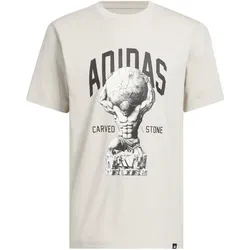 adidas Rock Camo Sculpture Graphic T-Shirt Herren KT4122 - wonder alumina S