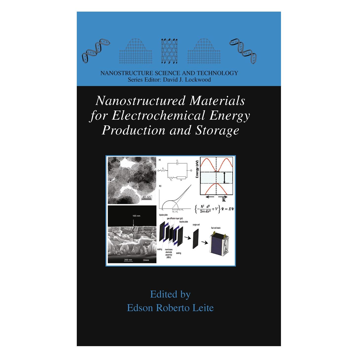 Springer Nanostructured Materials for Electrochemical Energy Production and Storage (Englisch, Hardcover, Edson Roberto Leite) (9780387493220)