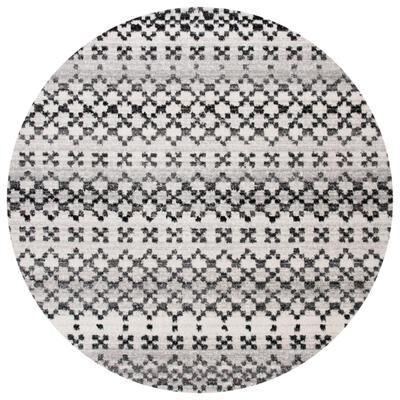 SAFAVIEH Adirondack Emilie Vintage Boho Oriental Rug