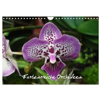 Farbenreiche Orchideen (Wandkalender 2026 DIN A4 quer), CALVENDO Monatskalender