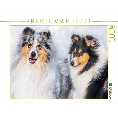 CALVENDO Puzzle Collies - Rüde und Hündin | 1000 Teile Lege-Größe 64x48cm Foto-Puzzle für glückliche Stunden