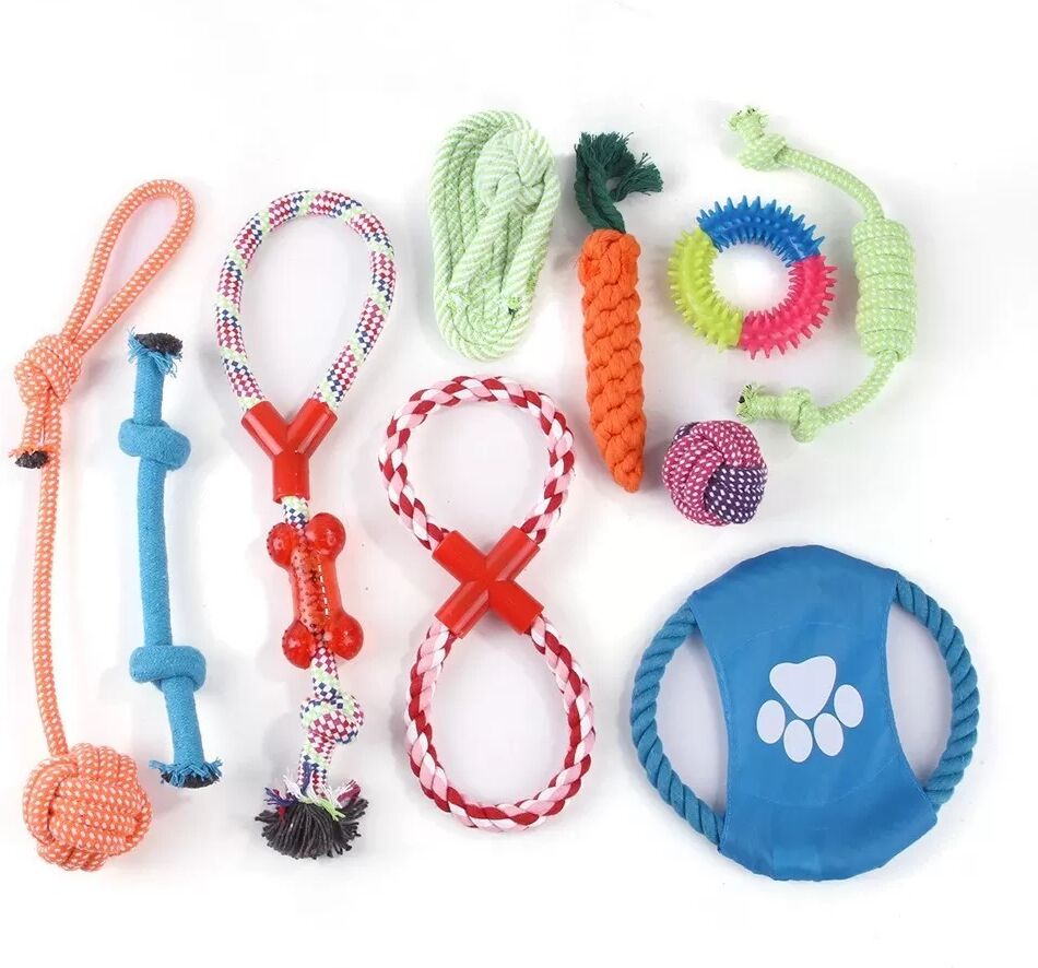 INF Ensemble de 10 Jouets en Corde pour Chiens - Jouets Interactifs à Mâcher en Coton pour Chiots et Petits Chiens
