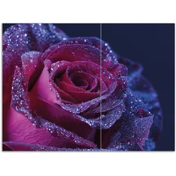 Wallario Herdabdeckplatte 80 x 52 cm (BxH), 2-teilig Rote Rosenblüte im Regen