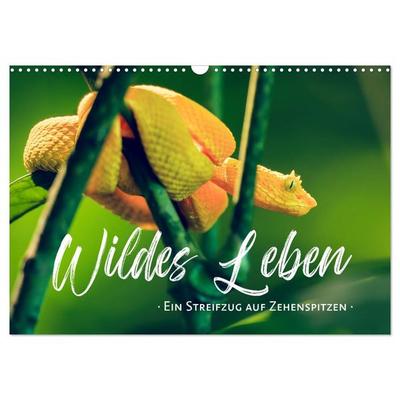 Wildes Leben - Ein Streifzug auf Zehenspitzen (Wandkalender 2026 DIN A3 quer), CALVENDO Monatskalender