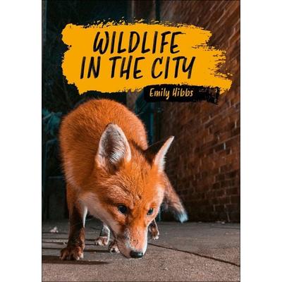 Reading Planet KS2: Wildlife in the City - Earth/Grey, Taschenbuch von Emily Hibbs, Hodder Education, 978-1-398-37737-0