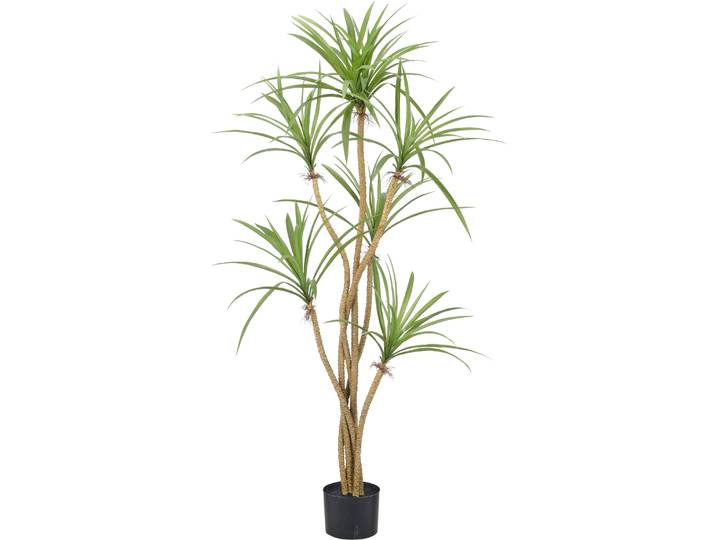 Kunstbaum CREATIV GREEN Dracaena marginata , grün, H:140cm, Obermaterial: 100% Kunststoff, Kunstpflanzen, Kunstbaum, mit 6 Stämmen