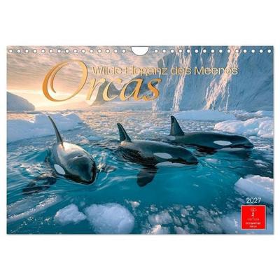 Orcas - Wilde Eleganz des Meeres (Wandkalender 2027 DIN A4 quer), CALVENDO Monatskalender