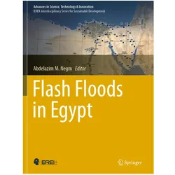 Flash Floods in Egypt, Fachbücher