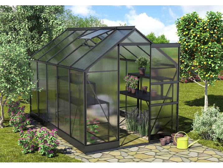Gewächshaus VITAVIA Apollo 6200 , schwarz, B:195cm T:323cm, Gewächshäuser, Gewächshaus