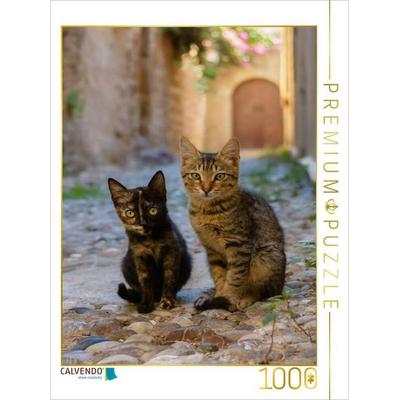 CALVENDO Puzzle Katzenkinder in einer Altstadtgasse von Rhodos | 1000 Teile Lege-Größe 64x48cm Foto-Puzzle für glückliche Stunden, Game von , Calvendo