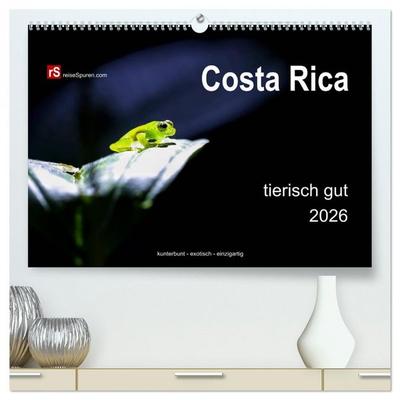 Costa Rica tierisch gut 2026 (hochwertiger Premium Wandkalender 2026 DIN A2 quer), Kunstdruck in Hochglanz