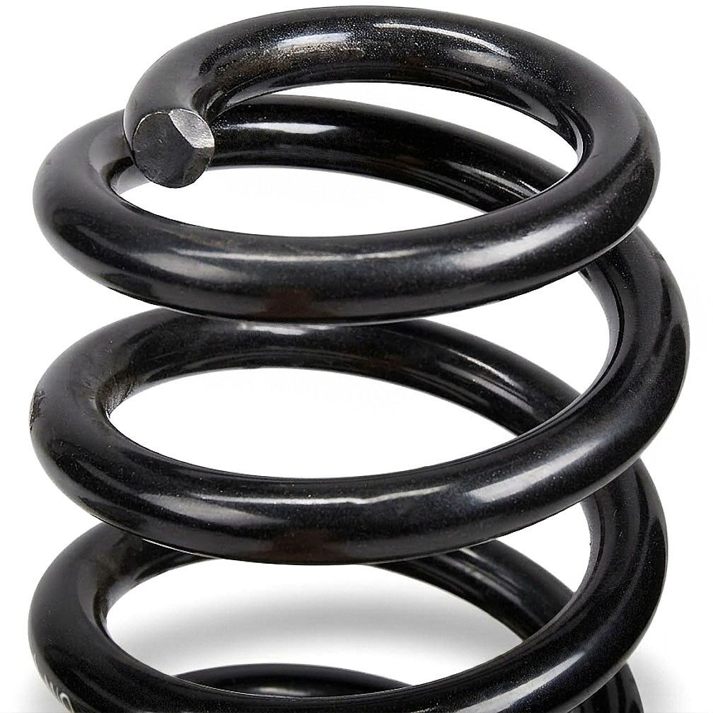 EIBACH E10-15-021-06-22 Suspension kit, coil springs
