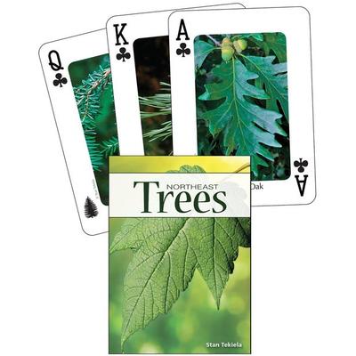 Trees of the Northeast Playing Cards