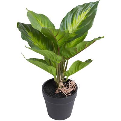 Künstliche Zimmerpflanze BOTANIC-HAUS "Dieffenbachia Camila", grün (grün, hellgrün), B:24cm H:28cm T:24cm Ø:24cm, Kunststoff, Kunstpflanzen, Künstliche Zimmerpflanze