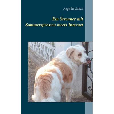 Ein Streuner mit Sommersprossen meets Internet, Taschenbuch von Angelika Godau, BoD – Books on Demand, 978-3-7322-8176-3