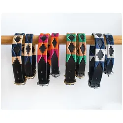 HFI Master Polo (XS, Hund, Allgemein), Halsband + Leine