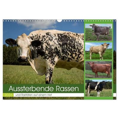 Aussterbende Rassen und Raritäten (Wandkalender 2026 DIN A3 quer), CALVENDO Monatskalender