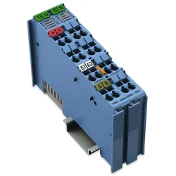 WAGO GmbH &amp; Co. KG 2-Kanal-Analogeingang 750-484/000-001