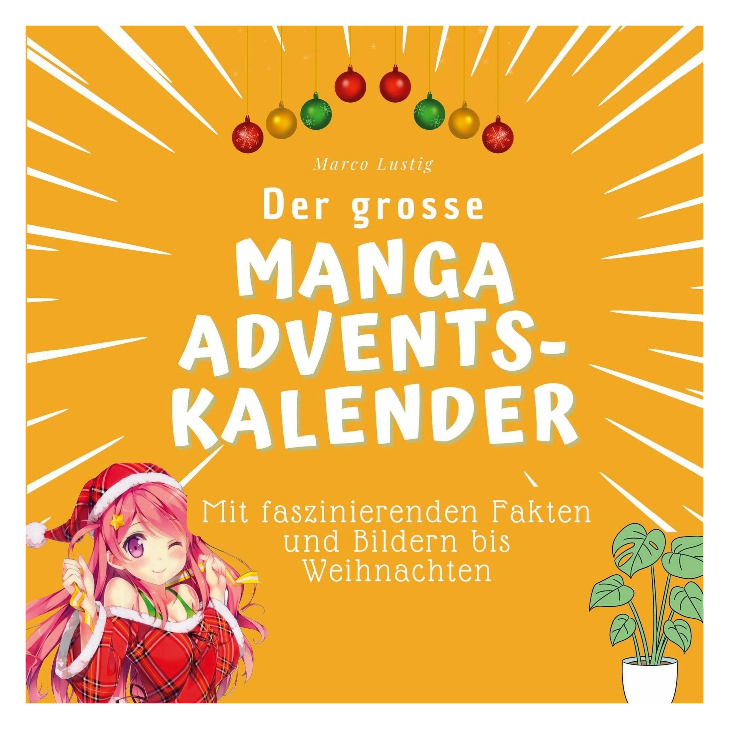 27amigos Manga (24 Türchen) (38969234)