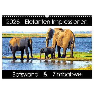 Elefanten Impressionen (Wandkalender 2026 DIN A3 quer), CALVENDO Monatskalender
