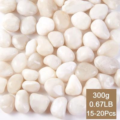 Inspired Living White Polished Pebbles 23cm For Plants, Fish Tanks And Garden Decor 300g
