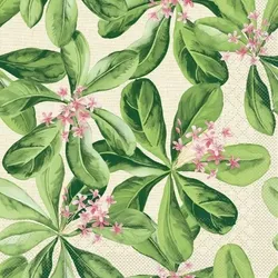 Mank Serviette aus Tissue, Design Jane, 40 x 40 cm, 100 Stück - Floral Blumen