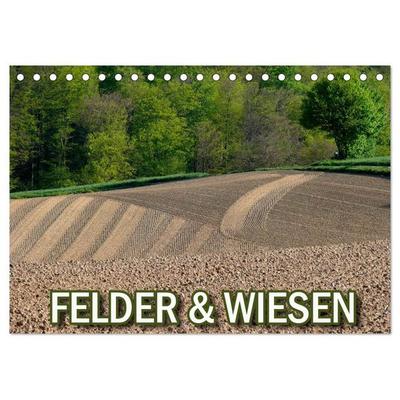 Felder und Wiesen (Tischkalender 2026 DIN A5 quer), CALVENDO Monatskalender