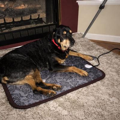 Drop Dash Deals Adjustable Pet Heating Pad For Cats & Dogs Waterproof Anti Bite Heating Mat Adjustable Pet Heating Pad For Cats & Dogs Waterproof Anti Bite Heating Mat