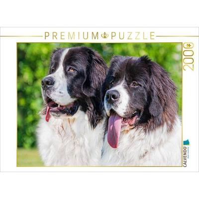 CALVENDO Puzzle Porträt zweier Landseer | 2000 Teile Lege-Größe 90x67cm Foto-Puzzle für glückliche Stunden