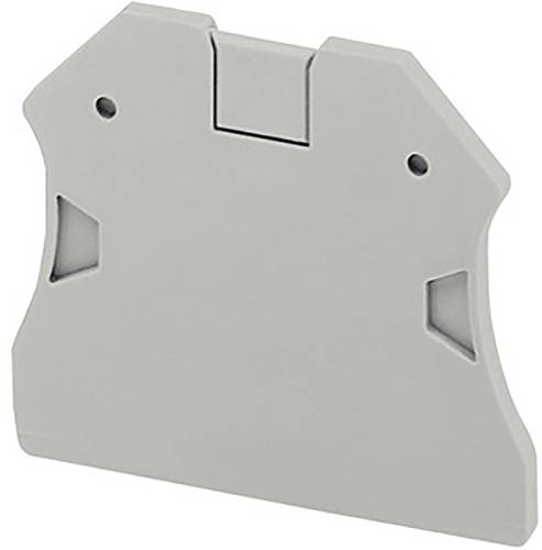 Schneider Electric NSYTRAC22 Endkappe 50St.