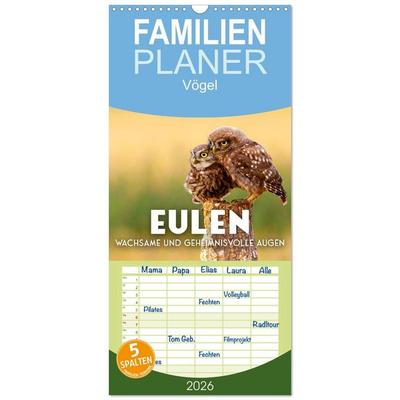 Familienplaner 2026 - Eulen - Wachsame und geheimnisvolle Augen mit 5 Spalten (Wandkalender, 21 x 45 cm) CALVENDO