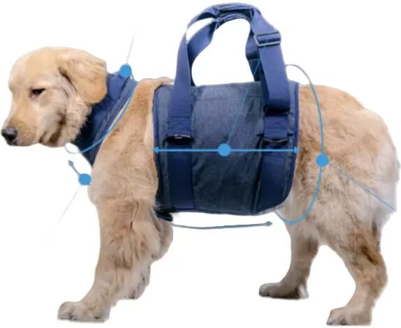 INF Hebegeschirr für ältere Hunde XS