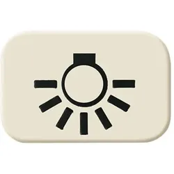 Busch-Jaeger Tastersymbol Licht 2525 LI