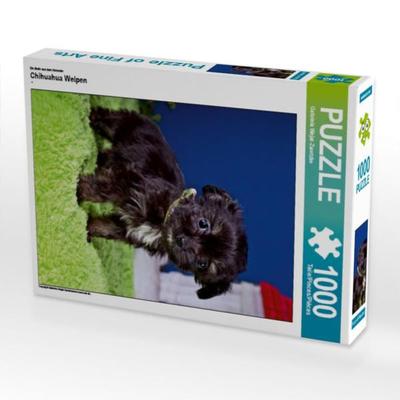 CALVENDO Puzzle Chihuahua Welpen 1000 Teile Lege-Größe 48 x 64 cm Foto-Puzzle Bild von Gabriela Wejat-Zaretzke