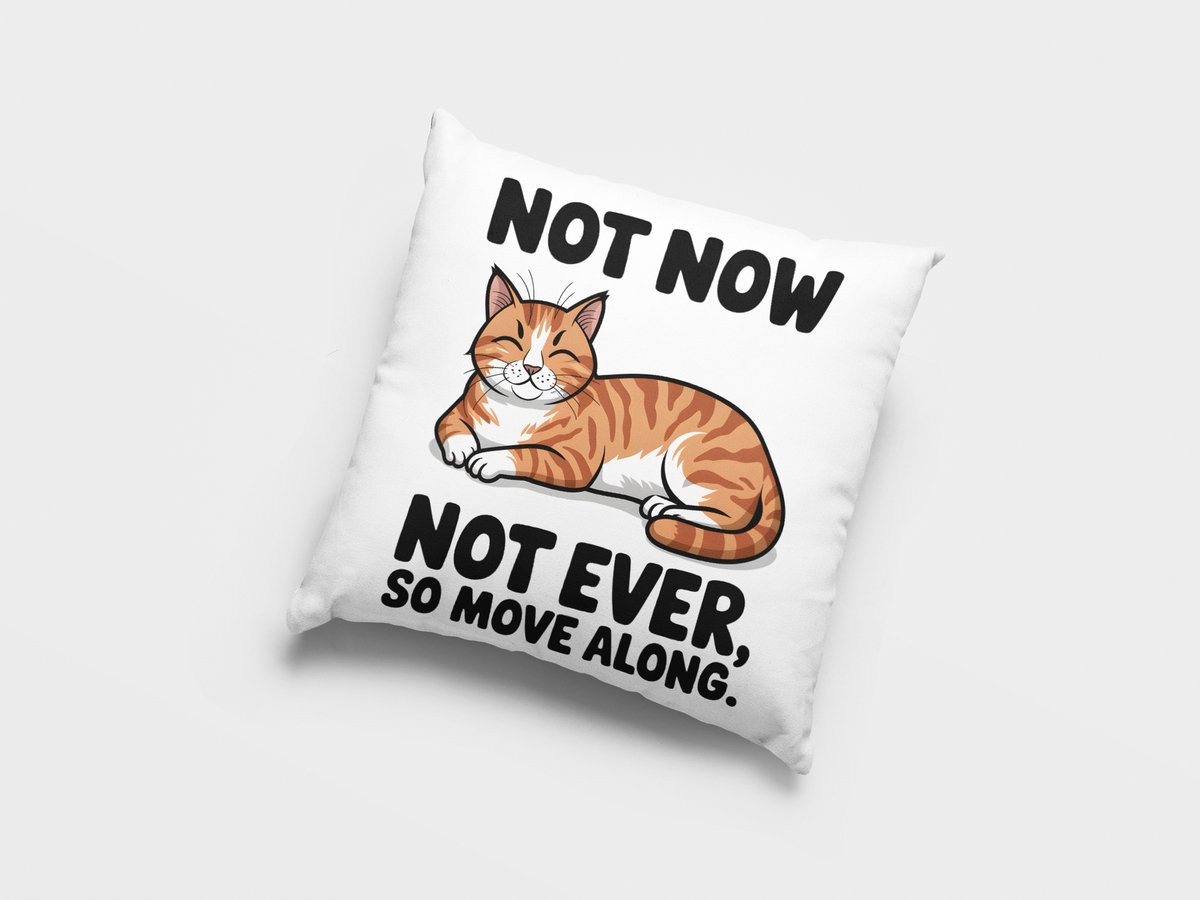 Grappig Katten Sierkussen met Nors Katje Decoratie voor Huisdierenliefhebbers