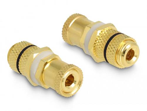 Delock 64146 64146 Audio Adapter [1x Polklemme - 1x Polklemme] Gold