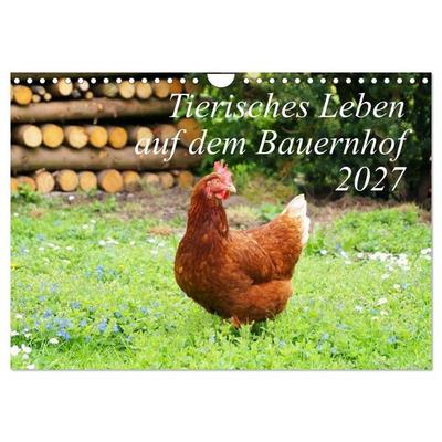 Tierisches Leben auf dem Bauernhof 2027 (Wandkalender 2027 DIN A4 quer), CALVENDO Monatskalender