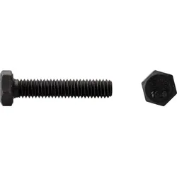 Fuchs+Sanders Sechskantschraube 10.9 0223/000/01 20x45