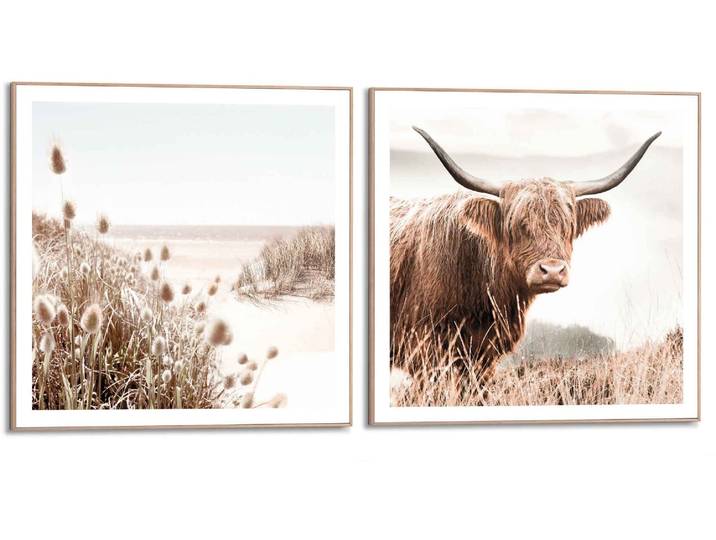 Wandbild REINDERS Freie Natur Highlander - Kuh - Heide - Strand - Ruhe , grün (farbe bild(er): khaki), B:50cm H:50cm, Holzwerkstoff, Bilder, Wandbild