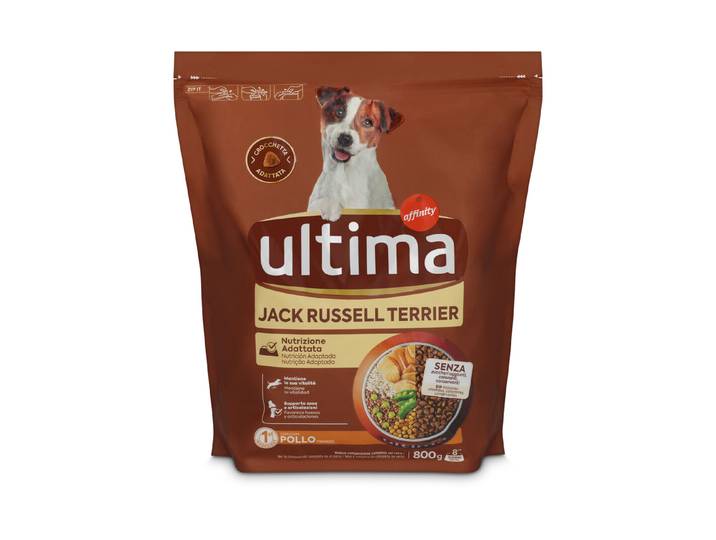 Ultima Dog Mini Jack Russell