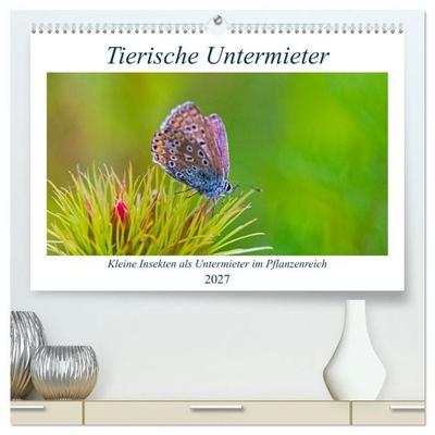 Tierische Untermieter (hochwertiger Premium Wandkalender 2027 DIN A2 quer), Kunstdruck in Hochglanz