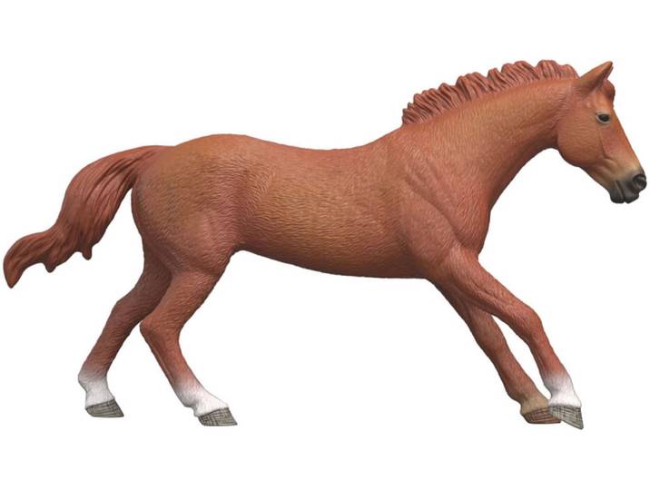 Spielfigur SCHLEICH HORSE CLUB, Englisches Vollblut Hengst (14915) , braun, Spielfiguren, Kinder, Kunststoff, Spielfigur