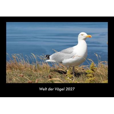Welt der Vögel 2027 Fotokalender DIN A3