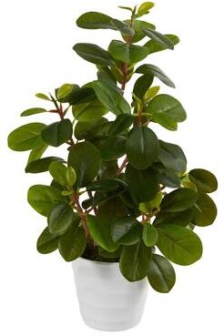 Nearly Natural "16"" Peperomia Artificial Plant in Decorative Planter - 6"""