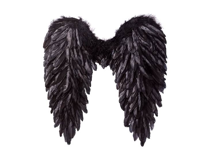 Grandes ailes d'ange diable à plumes, photo noire, photographie de mariage, photo de voyage, spectacle féerique, accessoires cos